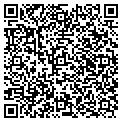 QR code with P Damiani & Sons Inc contacts