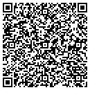 QR code with Colleys Pools & Spas contacts