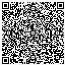 QR code with BQE Public Auto Corp contacts