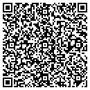 QR code with Puller Communications contacts