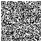 QR code with Carucci D Mason & Cnstr LLC contacts