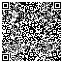 QR code with Pyschic Gallery contacts