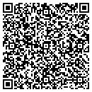 QR code with Central Insurance Inc contacts