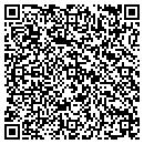 QR code with Princess Doves contacts