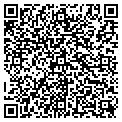 QR code with Curves contacts