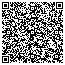 QR code with Pulse Of New York Inc contacts