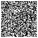 QR code with Project Safe contacts