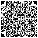 QR code with Prolite Armor Systems contacts
