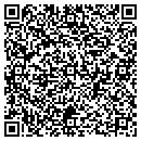 QR code with Pyramid Concrete Design contacts