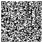 QR code with Professional Tape Corp contacts
