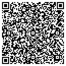 QR code with Proffesional Services contacts