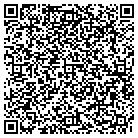 QR code with Princeton Analytics contacts