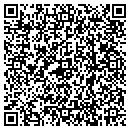 QR code with Professional Resumes contacts