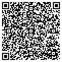 QR code with MXT contacts