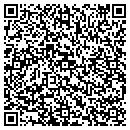 QR code with Pronto Games contacts