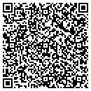 QR code with Pub Taxi contacts