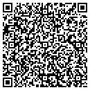 QR code with Boulevard Pizza Inc contacts