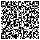 QR code with Castelli Wine & Liquor contacts