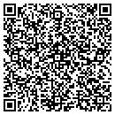 QR code with Cellular Island Inc contacts