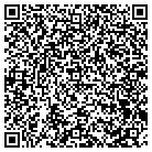 QR code with Pulte Homes Of Ny Inc contacts