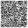 QR code with M&T contacts
