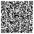 QR code with Moveco contacts