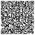 QR code with Public Utility Law Project contacts