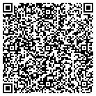 QR code with Professional Access Ltd contacts