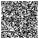 QR code with C & O Auto Parts Napa contacts