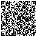 QR code with Nitong contacts
