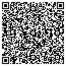 QR code with Carpetbagger contacts