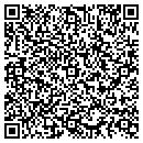 QR code with Central NEW York Dso contacts