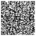 QR code with YANY contacts