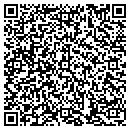 QR code with Cv Group contacts