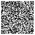QR code with Citgo contacts