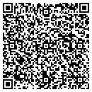 QR code with Pulmonary Solutions contacts