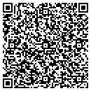QR code with Baldwins Excavation contacts