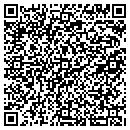QR code with Critical Metrics LLC contacts