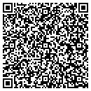 QR code with Problem Solvers Inc contacts