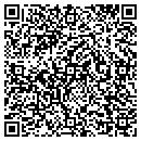 QR code with Boulevard Auto Sales contacts