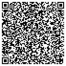 QR code with Solana Vista Consulting contacts