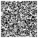 QR code with Pu Consulting Inc contacts