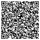 QR code with Psdirect Inc contacts