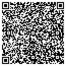 QR code with Putt Putt of Dewitt contacts