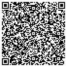 QR code with Gallitellis Lawn Mainten contacts