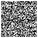 QR code with Curtis M Johnson DDS contacts