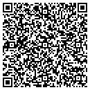 QR code with Promo Epress contacts