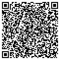 QR code with D Ryan contacts