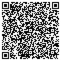 QR code with Cellar contacts