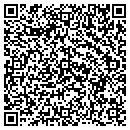 QR code with Pristine Pools contacts